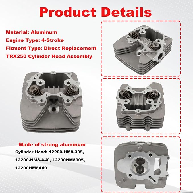 TRX250 Cylinder Head Assembly Compatible with Honda Recon 250 TRX250 X TE 2x4 ES 2002-2014