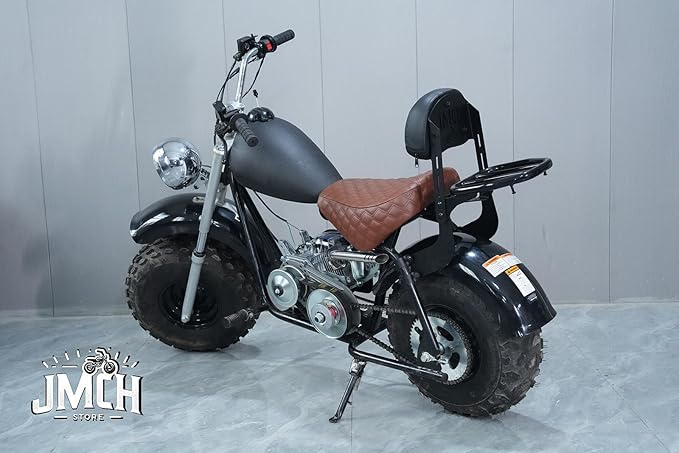 JMCHstore Backrest Cargo Rack for Baja Massimo MB200, Baja Heat, Mini Baja, Baja Warrior, Baja Carbon 6.5 196cc Mini Bike Cushion Luggage Parts