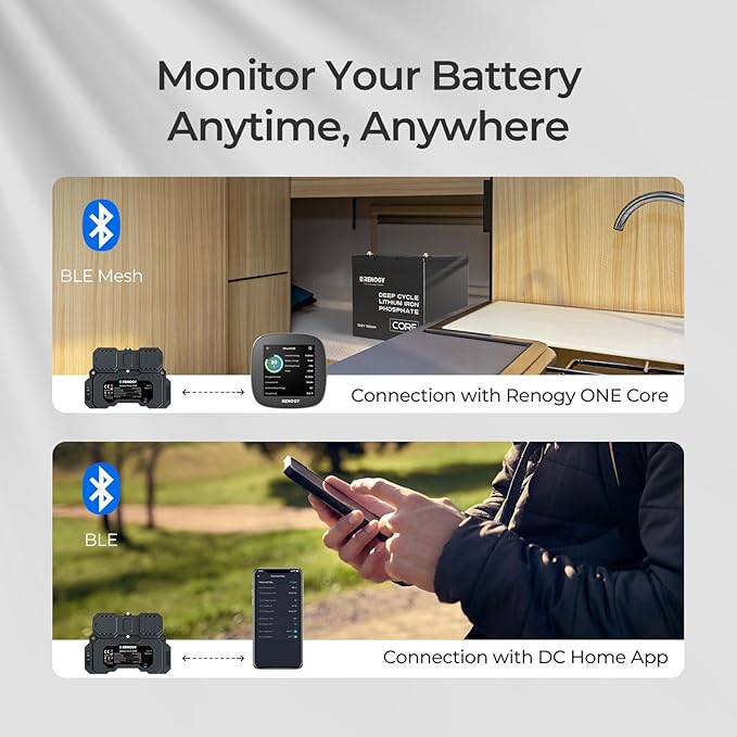 Renogy Battery Shunt 300, Remote Battery Monitoring, Range 8V-120V up to 500A, High Precision Current Sensor, Compatible Lead Acid, LFP, Li-ion, and Ni-MH Batteries