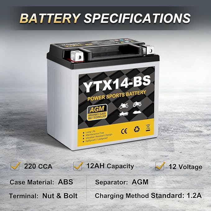 YTX14-BS Motorcycle Battery 12V 12Ah, 220 CCA Sealed AGM Rechargeable Maintenance Free Battery, Replacement for ATV, UTV, Scooter, ETX14, GTX14-BS