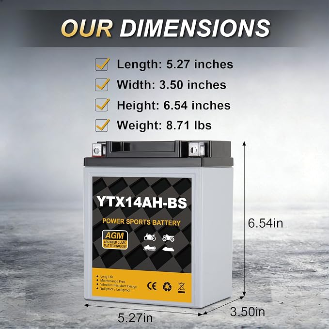 YTX14AH-BS 12V 12Ah Motorcycle Battery, 220CCA Rechargeable Maintenance Free Sealed AGM Battery, Powersport Replacement for ATV, UTV, Scooter