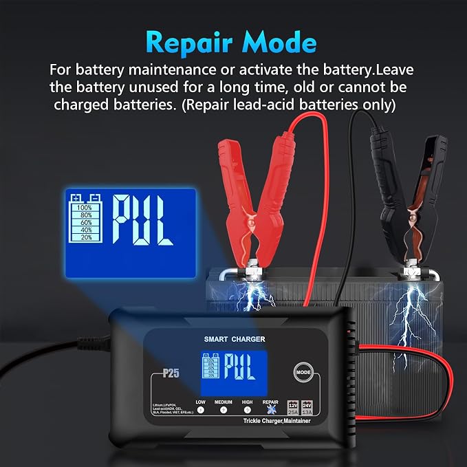 Battery Charger 0-25A,12V&24V LiFePO4 Battery Charger for Lithium,Lead Acid,AGM,RV,Marine,Boat, and Deep Cycle Batteries,9 Stage with Pulse Repair,Smart Car Trickle Charger & Maintainer