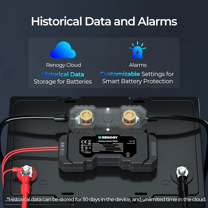 Renogy Battery Shunt 300, Remote Battery Monitoring, Range 8V-120V up to 500A, High Precision Current Sensor, Compatible Lead Acid, LFP, Li-ion, and Ni-MH Batteries