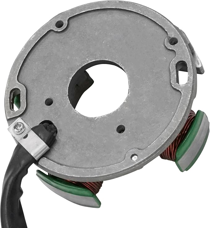 Caltric Stator Compatible With Polaris Trail Blazer 250 1998 1999 2000 2001 2002 2003 2004 2005 2006