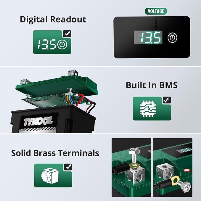 TYKOOL LFP12-BS-STD [+ -] Lithium Powersports Battery 240CCA 5Ah Digital Volt Readout IP66 for Shadow 750,Kawasaki Vulcan 900,Ninjia 650,Suzuki V-Strom 650,Triumph Bonneville T100, Replaces YTX12-BS