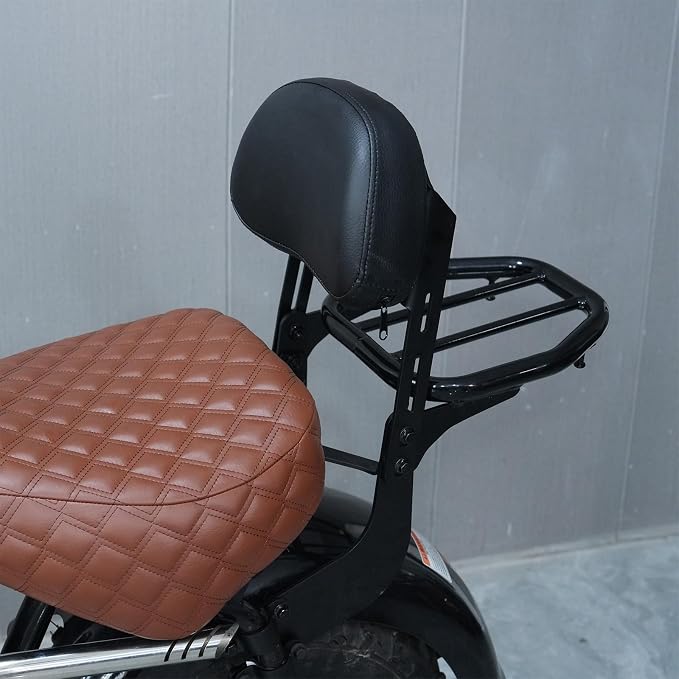 JMCHstore Backrest Cargo Rack for Baja Massimo MB200, Baja Heat, Mini Baja, Baja Warrior, Baja Carbon 6.5 196cc Mini Bike Cushion Luggage Parts
