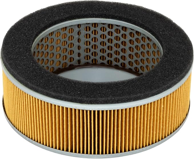 HiFloFiltro HFA2911 Premium OEM Replacement Air Filter, Single