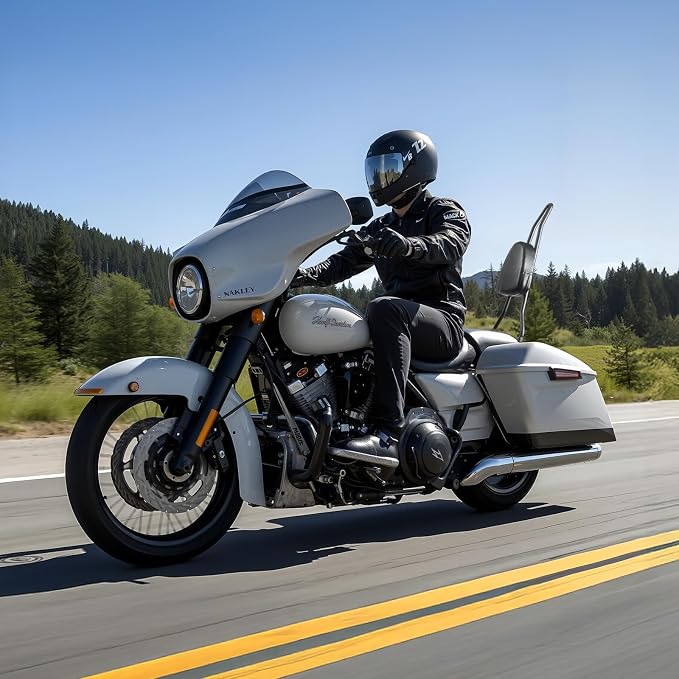VEVOR Motorcycle Backrest Sissy Bar, Compatible With Harley-Davidson Dyna Street Glide Road Glide Road King, 29 inch Height Detachable Passenger Backrest, For Motorcycles, Black