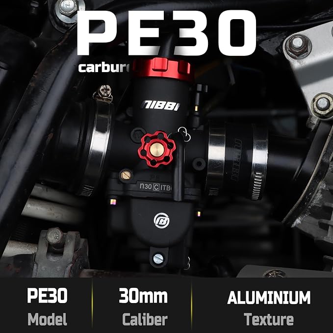 NIBBI Carburetor PE30 30mm Carburetor fit 250cc 300cc Motorcycle Engine with Carb Jets - For Dirt Pit Bike Mini Bike Motocross GY6