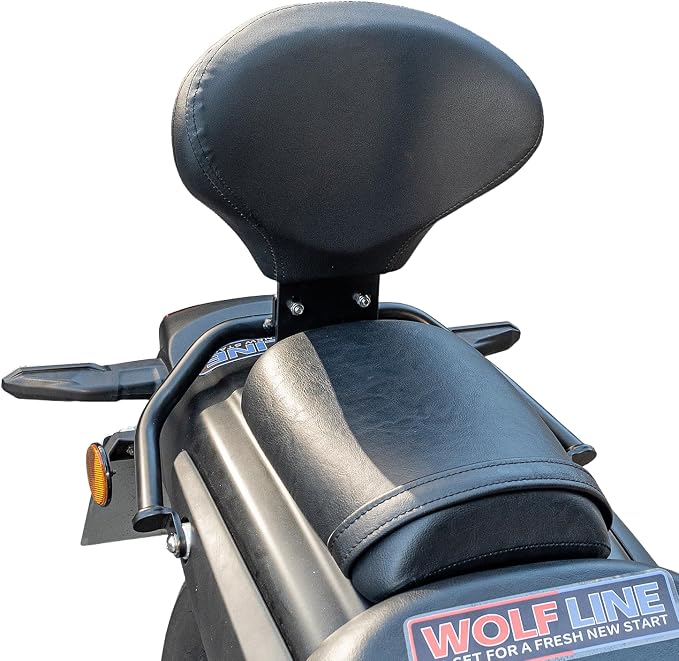 Motorcycle Sissy Bar Backrest for Kawasaki Eliminator 500 2025 2026 Eliminator500 Detachable Driver Passenger Back Rest Upright Rear Seat Leather