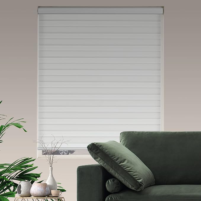 Zebra Roller Shades, Dual Layer Roll Up Blind for Living Room, Semi Sheer Shades Window Privacy Light Control for Day and Night, (Maximum Height 72inch, White Color, Width 32 inch)