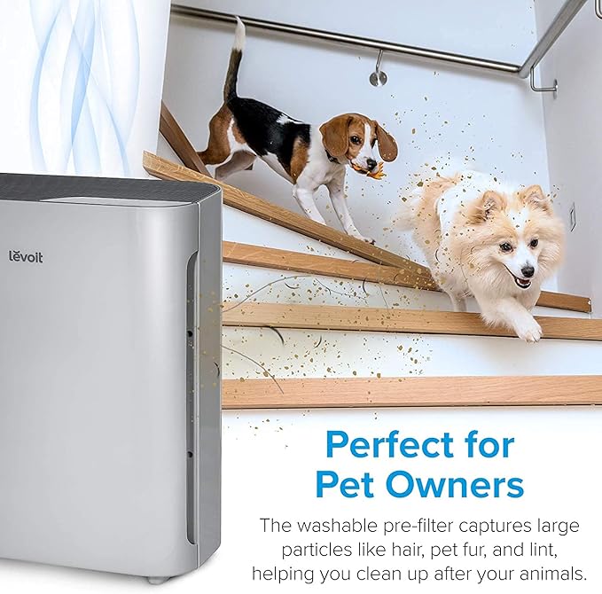 LEVOIT Air Purifiers for Home | Core 300 Air Purifier for Bedroom