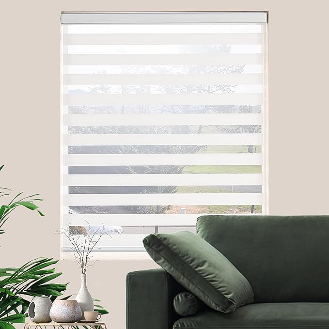 Zebra Blinds for Windows Dual Layer Light Filtering Privacy Free-Stop Sheer Shades Light Control for Indoor Windows Zebra Shades for Living Room(63" W X 72" H, White)