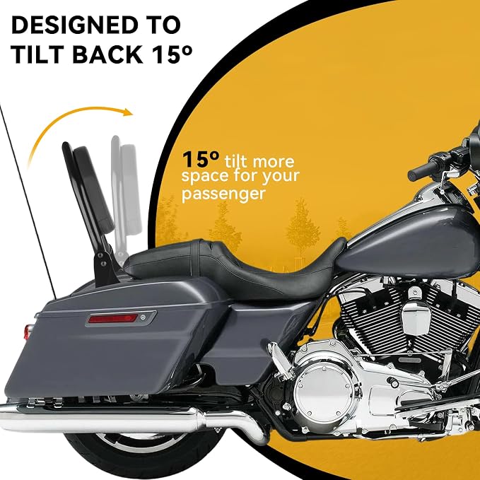 25" Detachable Sissy Bar Backrest for Harley Davidson Touring, Motorcycle Heavy Duty Steel Passenger Backrest Compatible with Street Glide/Road Glide/Road King/Electra Glide 2009-2024 (Black)