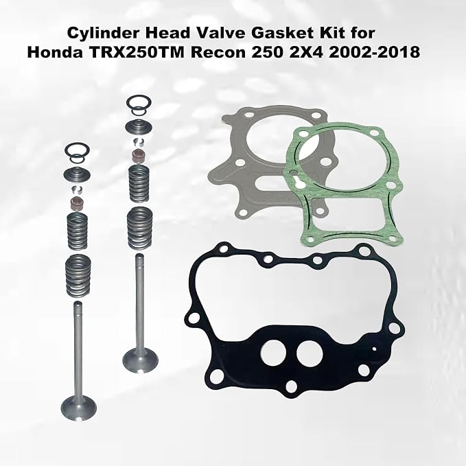 TRX250 Cylinder Head Assembly Compatible with Honda Recon 250 TRX250 X TE 2x4 ES 2002-2014