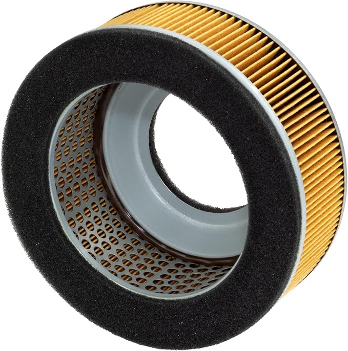 HiFloFiltro HFA2911 Premium OEM Replacement Air Filter, Single