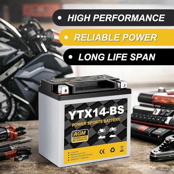 YTX14-BS Motorcycle Battery 12V 12Ah, 220 CCA Sealed AGM Rechargeable Maintenance Free Battery, Replacement for ATV, UTV, Scooter, ETX14, GTX14-BS