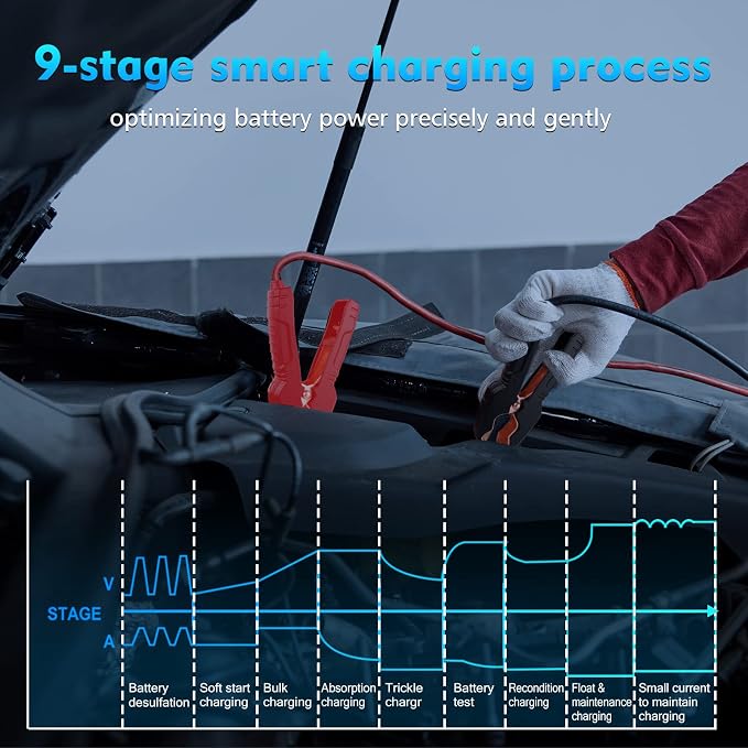 Battery Charger 0-25A,12V&24V LiFePO4 Battery Charger for Lithium,Lead Acid,AGM,RV,Marine,Boat, and Deep Cycle Batteries,9 Stage with Pulse Repair,Smart Car Trickle Charger & Maintainer