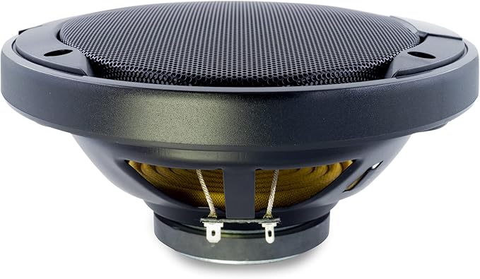 Kenwood KFC-1666S Car Stereo Speaker 6-1/2" 2-Way Speakers with Powerful Sound and Easy Installation - Elevate Your Car Audio