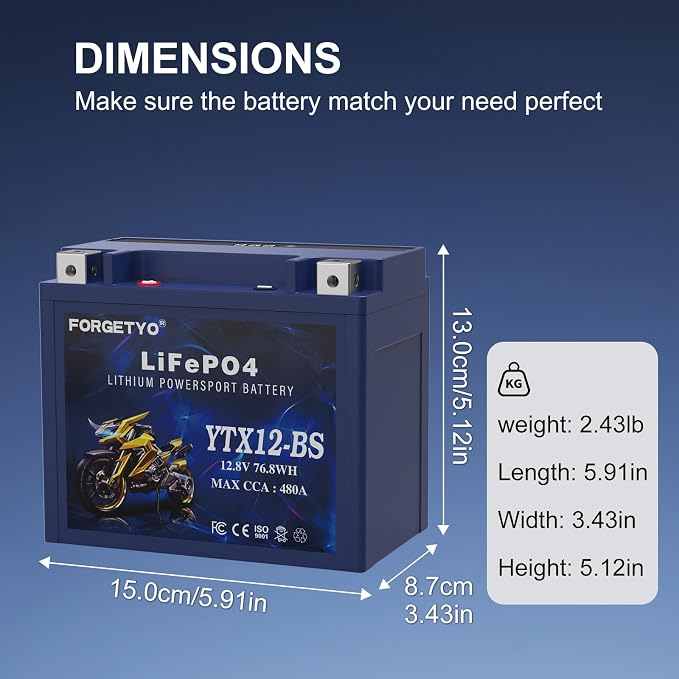 Lithium YTX12-BS, Forgetyo 12V 6AH 480A LiFePO4 Motorcycle Battery, ATV, UTV, Jet Ski, 4 Wheeler,Snowmobile,Tractor and Generator Battery