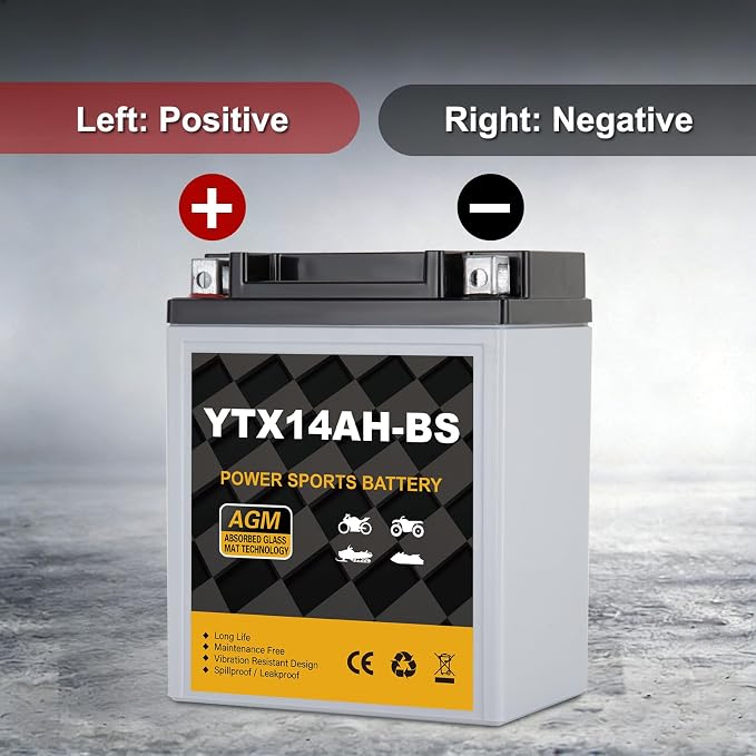 YTX14AH-BS 12V 12Ah Motorcycle Battery, 220CCA Rechargeable Maintenance Free Sealed AGM Battery, Powersport Replacement for ATV, UTV, Scooter