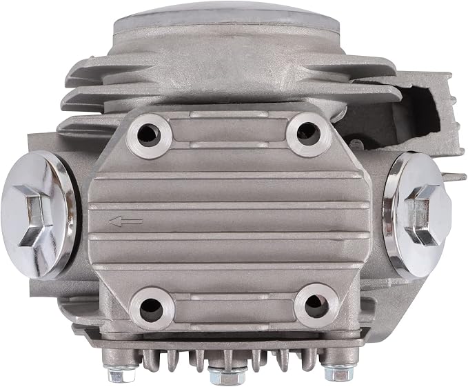 WOOSTAR 52.4mm Complete Cylinder Head 66mm Valves Replacement for 4 Stroke Chinese TaoTao Coolster 110cc Engine ATV Go Kart Dirt Bike