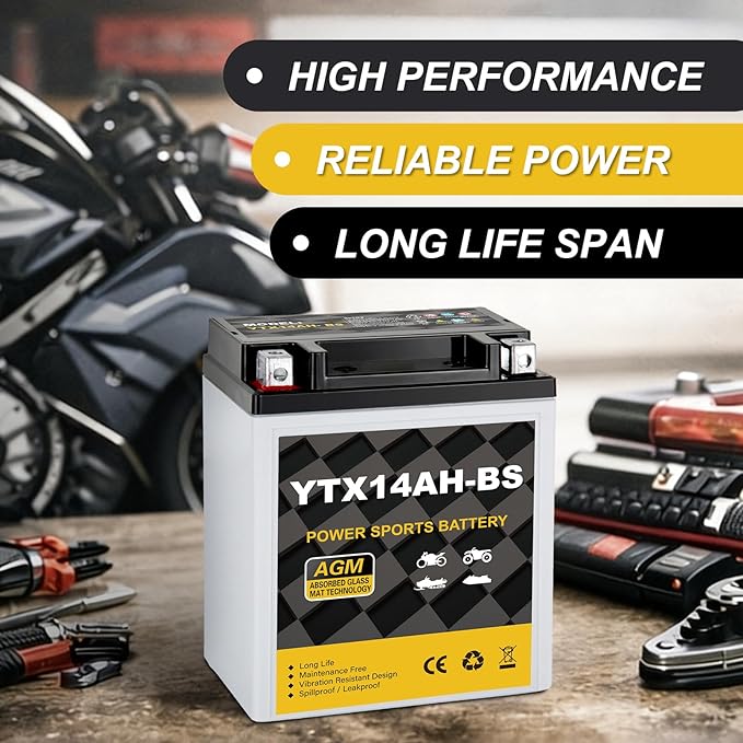 YTX14AH-BS 12V 12Ah Motorcycle Battery, 220CCA Rechargeable Maintenance Free Sealed AGM Battery, Powersport Replacement for ATV, UTV, Scooter