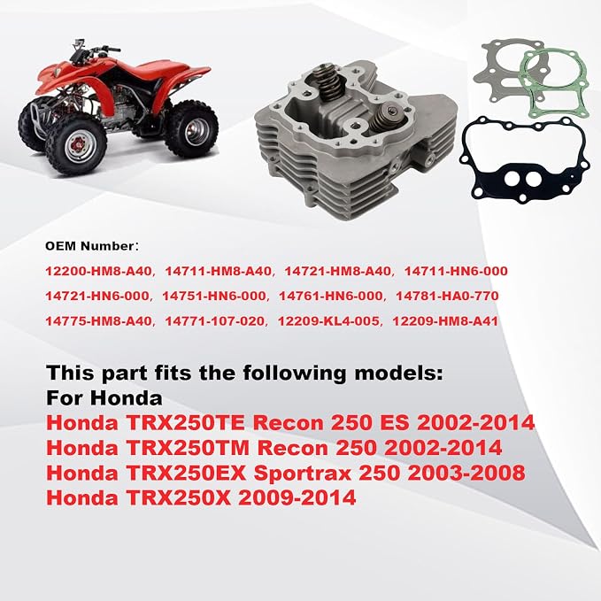 TRX250 Cylinder Head Assembly Compatible with Honda Recon 250 TRX250 X TE 2x4 ES 2002-2014