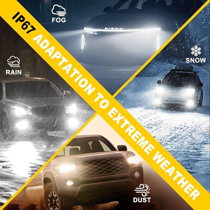 AHOBXD H1 Light Bulbs,6500K White Super Bright Upgraded 600% 30000LM Brightness Real 1:1 Halogen Size 80000Hours Lifespan H1/H1LL Flicker Free and Canbus Free IP68 Waterproof Pack of 2