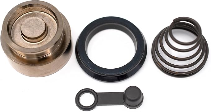 RW 0108-008/100 Clutch Slave Cylinder Piston & Slave Cylinder Rebuild Repair Parts Kit Compatible with Kawasaki