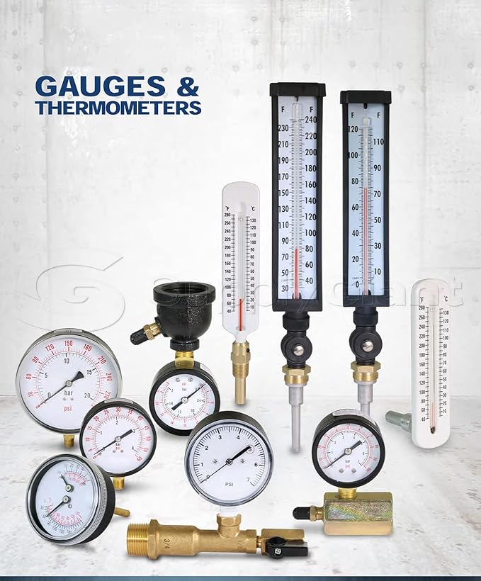 Supply Giant QUL 0-160 PSI Water Pressure Test Kit with Snifter Valve and Swivel Hose Connector, Brass