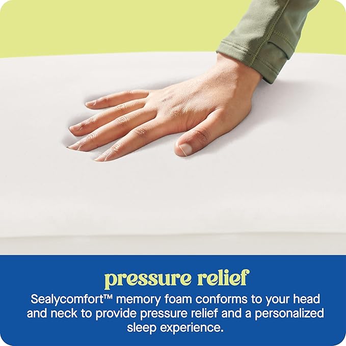 Sealy Dreamlife Queen Size Memory Foam Cooling Pillow with Surface Guard Technology, Removable Machine-Washable Cover, 1 Year Limited Warranty, White (2 Pack)