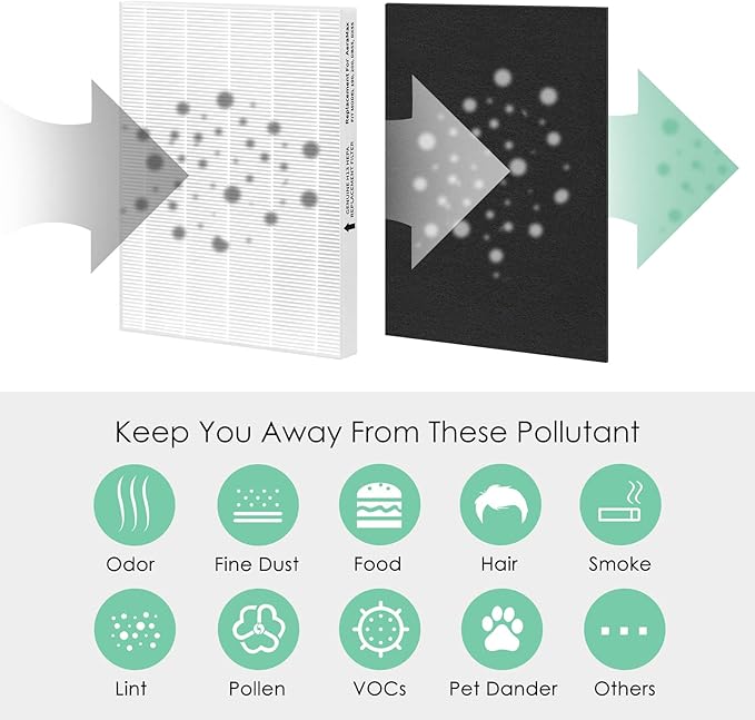 Filter Compatible with Fellowes Aeramax 200 HEPA Filter Replacement Aera Max 190 200 DX55 Part# 9287101 9324101 Air Purifier, Includes 2 True HEPA & 6 Carbon Activated Pre-Filter