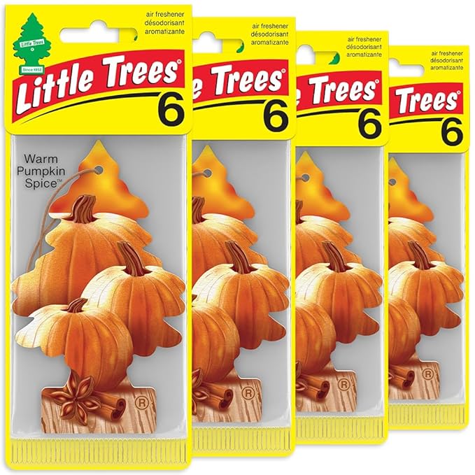 LITTLE TREES Car Air Freshener | Hanging Tree Provides Long Lasting Scent for Auto and Home | Warm Pumpkin Spice, 24 Air Fresheners