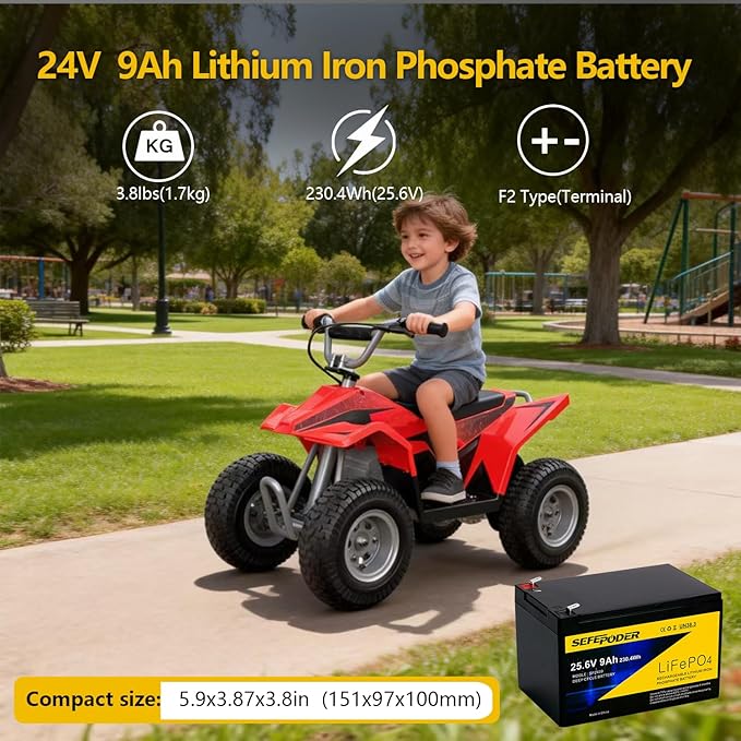 SEFEPODER 24V 9Ah Lithium LiFePO4 Deep Cycle Battery, 3000+ Cycles Rechargeable Battery for Lighting, Scooter, 24 Volt Ride On Toy, UPS(600W or Less), 24V Power Wheels and More with Built-in 30A BMS