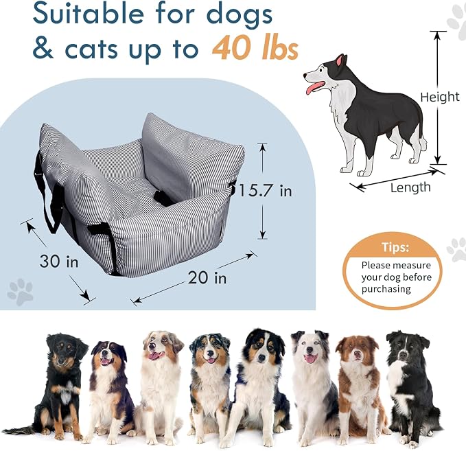 Dog Car Seat for Small/Medium Dogs Under 40 lbs - Elevated Pet Seat with Safety Belt, Non-Slip Base, and Storage Pockets for Car Travel,Navy