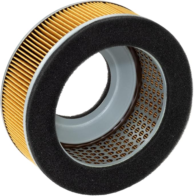 HiFloFiltro HFA2911 Premium OEM Replacement Air Filter, Single