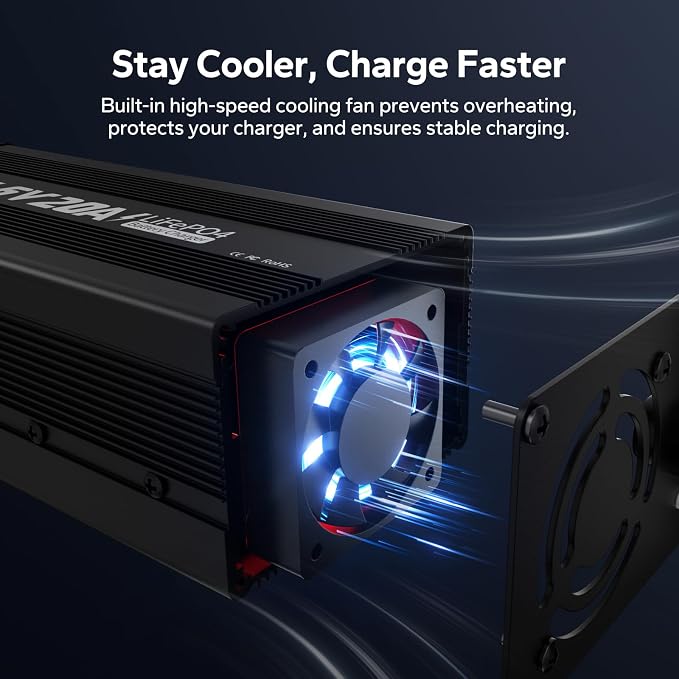 LiTime 12V 20A Lithium Battery Charger, AC-DC Charger with Anderson Connector & LED Indicator for 14.6V LiFePO4, Smart Charger for RV, Off-Grid, Home, Deep Cycle Battery, Solar System