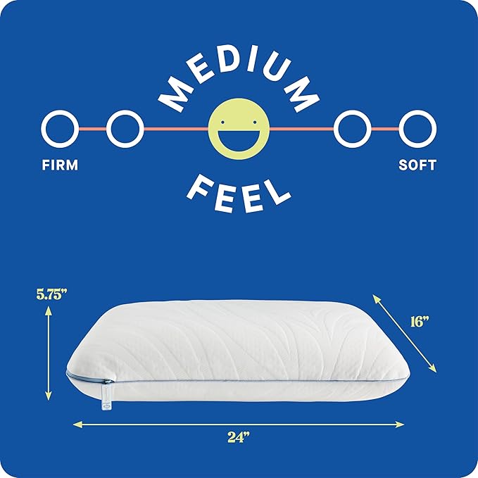 Sealy Dreamlife Queen Size Memory Foam Cooling Pillow with Surface Guard Technology, Removable Machine-Washable Cover, 1 Year Limited Warranty, White