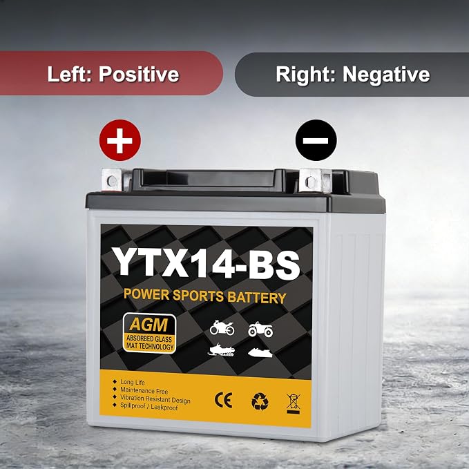 YTX14-BS Motorcycle Battery 12V 12Ah, 220 CCA Sealed AGM Rechargeable Maintenance Free Battery, Replacement for ATV, UTV, Scooter, ETX14, GTX14-BS