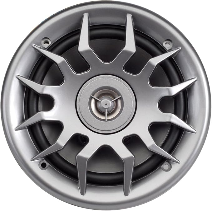 Marine Audio Speakers, 80 Watts, 6.5 Inch, Water Resistant, UV-Resistant, with Metallic Dome Tweeter, High-Performance Marine, RV & Vehicle Upgrade (Silver)
