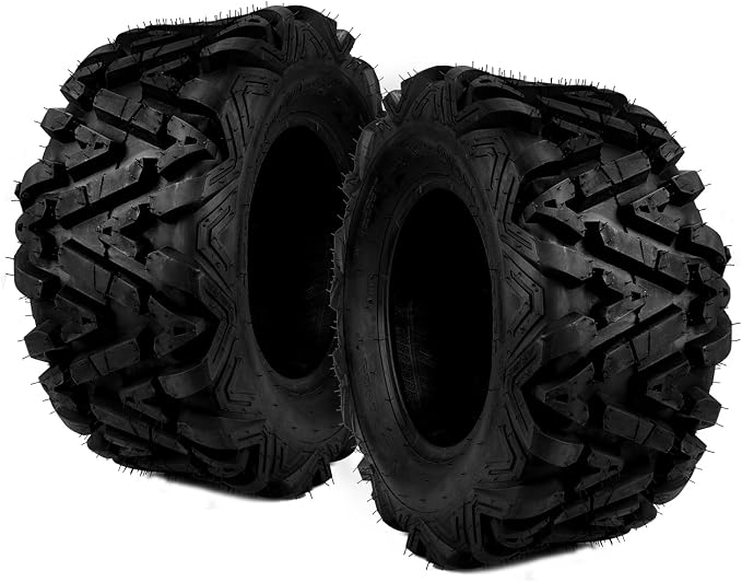 Torchbeam 25x10-12 ATV Tire, 6 -Ply Off-Road Tire for All-Terrain ATV/UTV, 2 Pack
