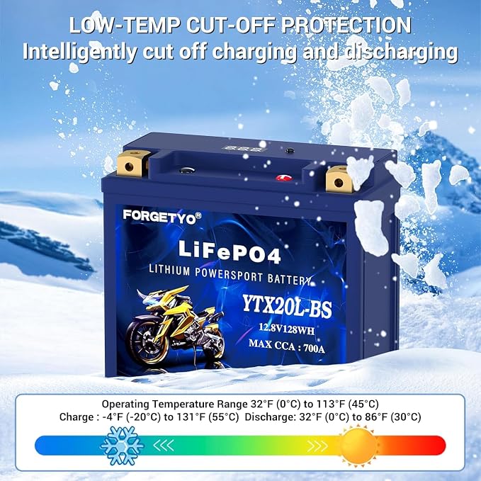 Lithium Motorcycle Battery, Forgetyo YTX20L-BS LiFePO4 Battery, 12V 10AH 700A ATV, UTV, Jet Ski, 4 Wheeler, Snowmobile, Personal Watercraft, Seadoo, Polaris, Generator and Riding Lawn Mower Battery