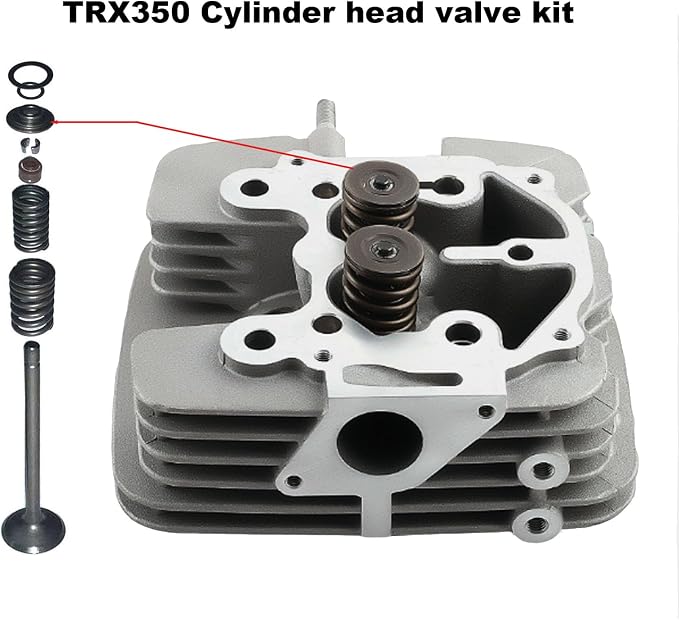 Cylinder Head and Gasket Compatible with Honda Rancher 350 TRX350 TRX350EX 2000-2006 12200-HN5-670