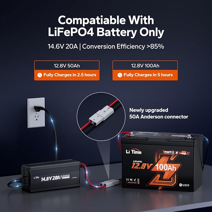 LiTime 12V 20A Lithium Battery Charger, AC-DC Charger with Anderson Connector & LED Indicator for 14.6V LiFePO4, Smart Charger for RV, Off-Grid, Home, Deep Cycle Battery, Solar System
