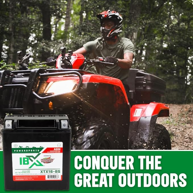 Interstate Batteries YTX16-BS 12V 14Ah Powersports Battery 230CCA AGM Rechargeable Replacement for ATVs, Motorcycles, Scooters (XTX16-BS)