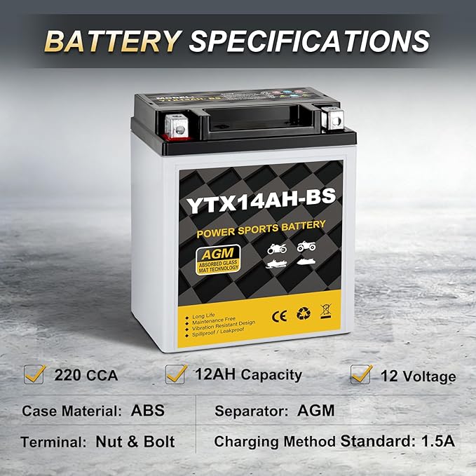YTX14AH-BS 12V 12Ah Motorcycle Battery, 220CCA Rechargeable Maintenance Free Sealed AGM Battery, Powersport Replacement for ATV, UTV, Scooter
