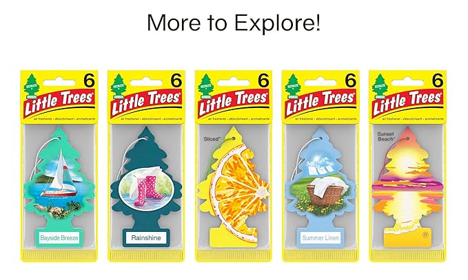 LITTLE TREES Air Fresheners Car Air Freshener. Hanging Tree Provides Long Lasting Scent for Auto or Home. Morning Fresh, 24 Air Fresheners (Pack of 6)