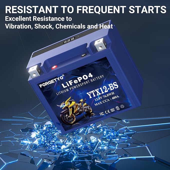 Lithium YTX12-BS, Forgetyo 12V 6AH 480A LiFePO4 Motorcycle Battery, ATV, UTV, Jet Ski, 4 Wheeler,Snowmobile,Tractor and Generator Battery
