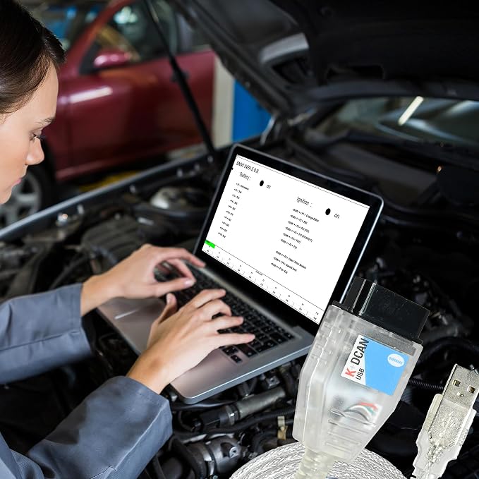 BMW INPA K+DCAN with FT232RL NCS Coding Winkfp Tool32 Programing